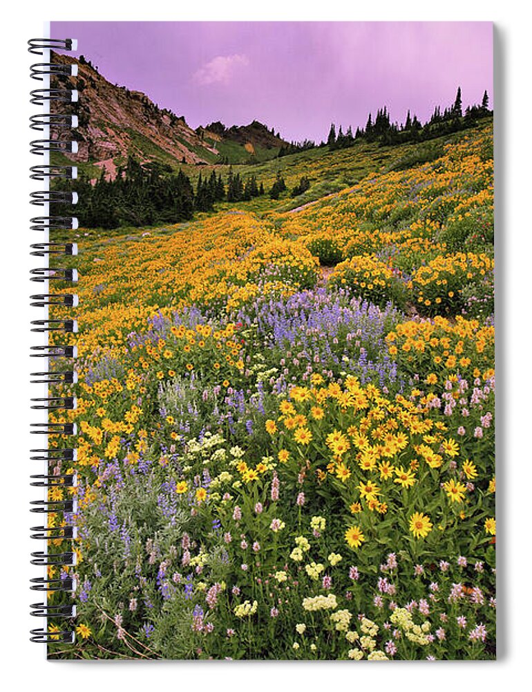 Utah Spiral Notebook featuring the photograph Cardiff Pass Sunset and Wildflowers - Alta, Utah by Brett Pelletier