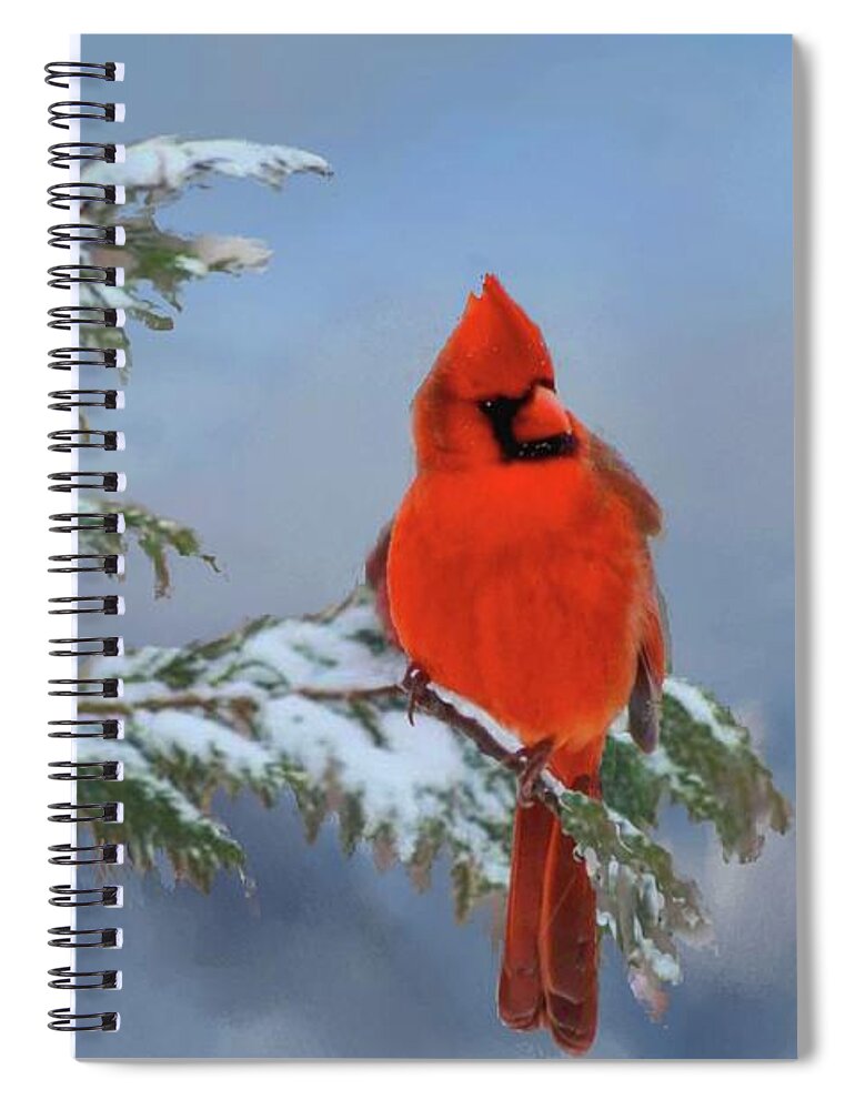 Cardinal Spiral Notebook featuring the photograph Cardinal in Winter II by Janette Boyd