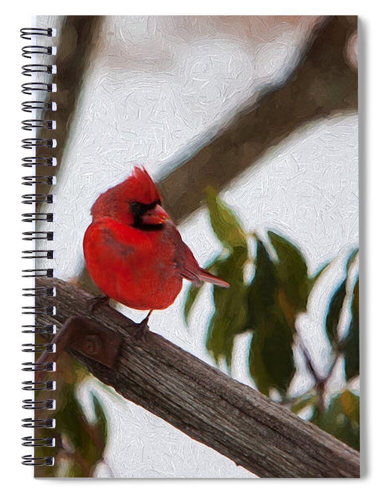 Cardinal Spiral Notebook featuring the photograph Cardinal in winter by Jeff Folger