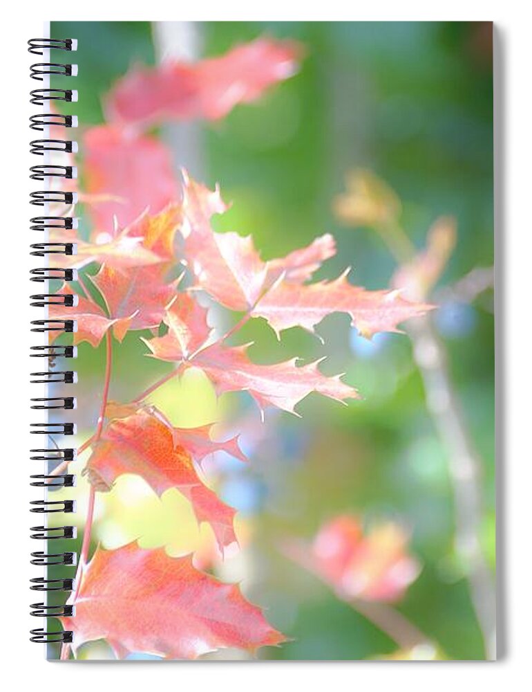 Leaves Spiral Notebook featuring the photograph Careful I'm sharp by Merle Grenz