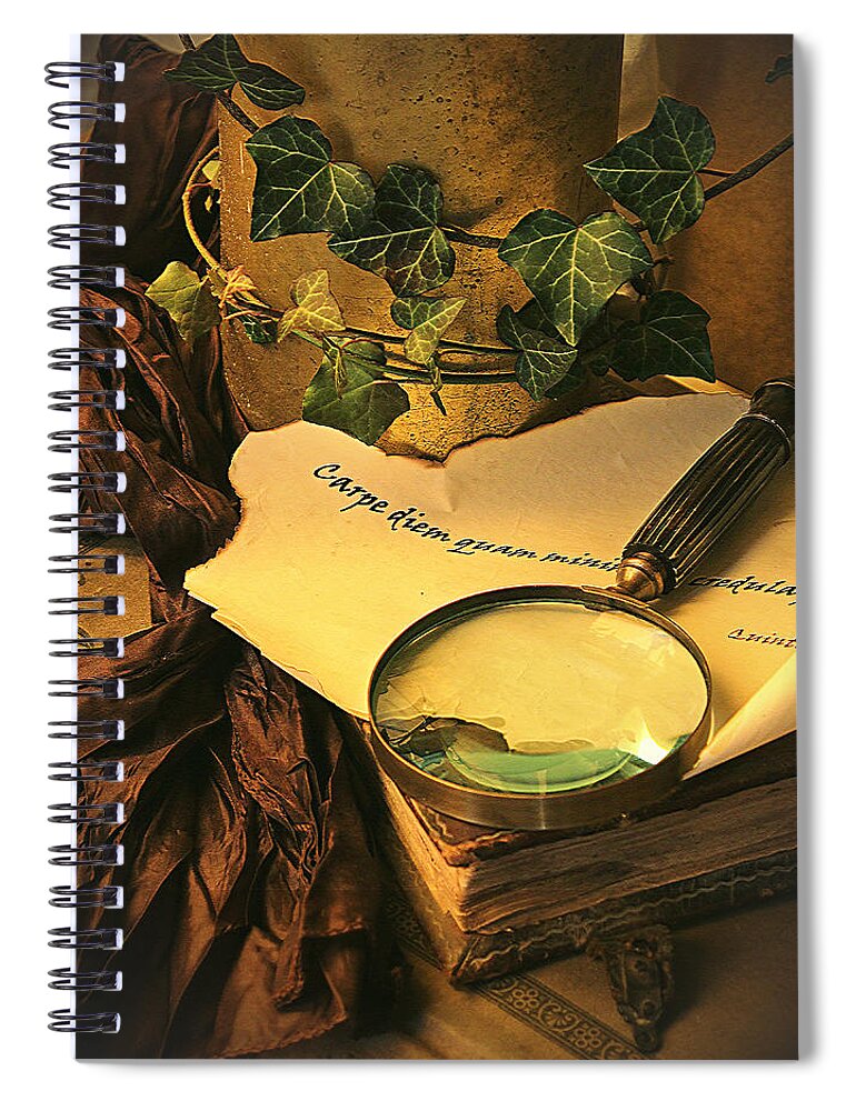 Carpe Diem Spiral Notebook featuring the photograph Carpe Diem II by Binka Kirova