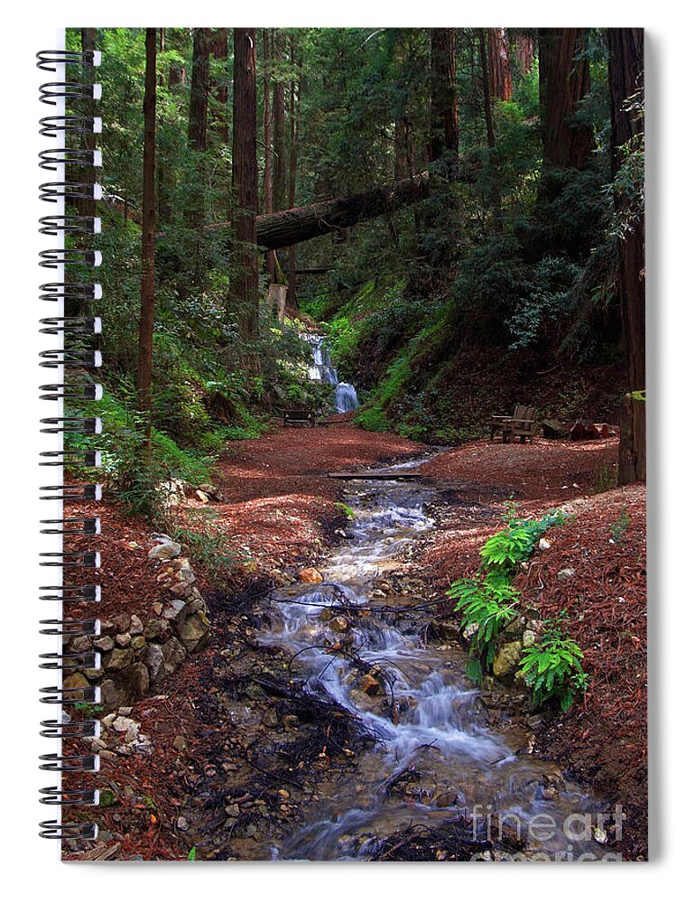 Castro Canyon Spiral Notebook featuring the photograph Castro Canyon in Big Sur by Charlene Mitchell