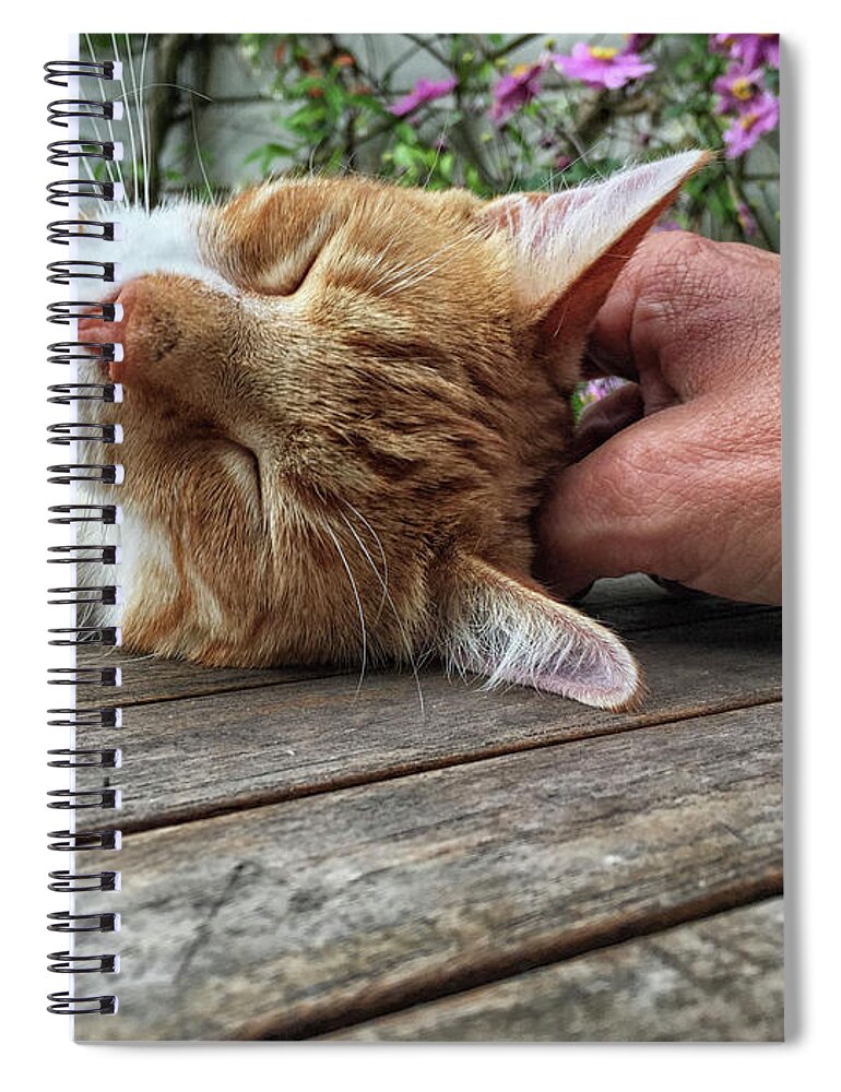 Head Spiral Notebook featuring the photograph Happy cat by Patricia Hofmeester