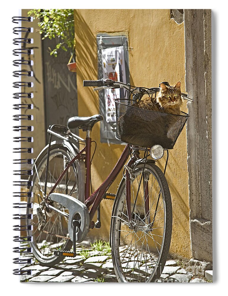 Cat Spiral Notebook featuring the photograph Cat In Bike Basket by Jean-Michel Labat
