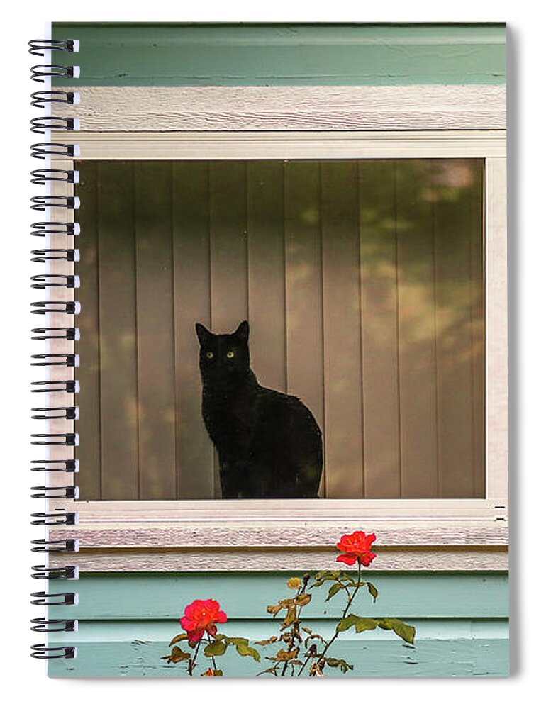 Animal Spiral Notebook featuring the photograph Cat In The Window by Robert Frederick
