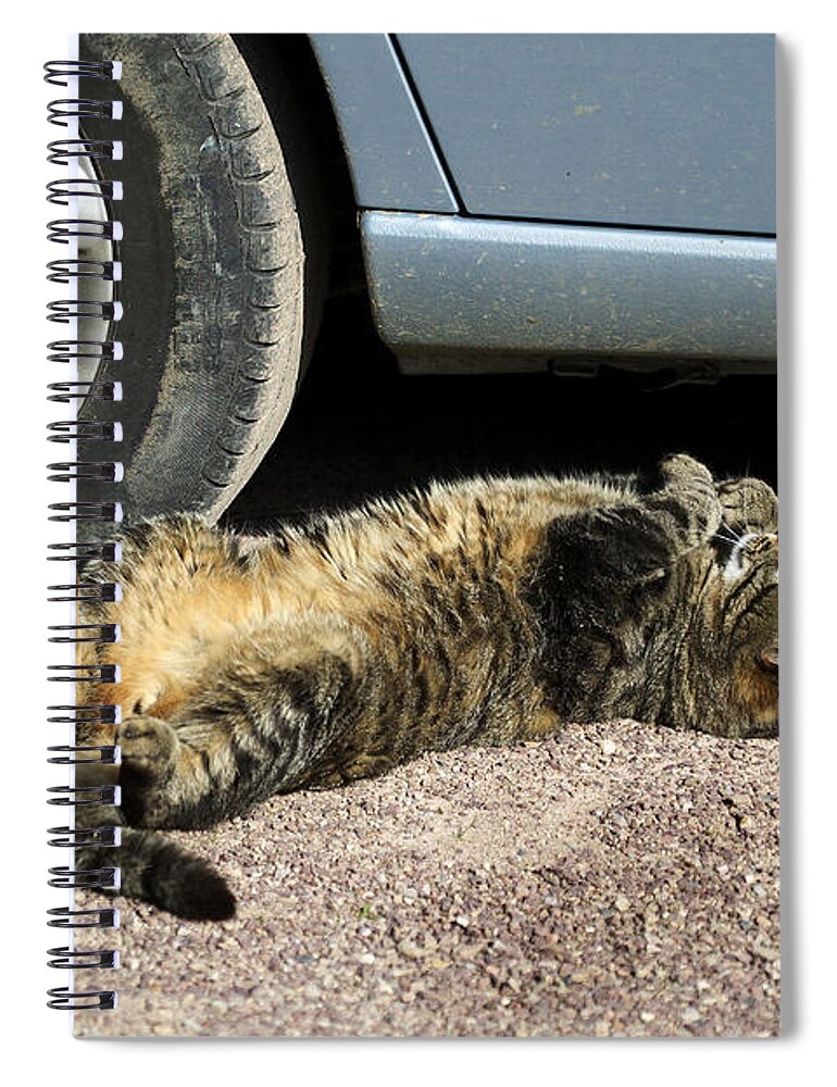 Adult Spiral Notebook featuring the photograph Cat Next To Car Wheel by Gerard Lacz