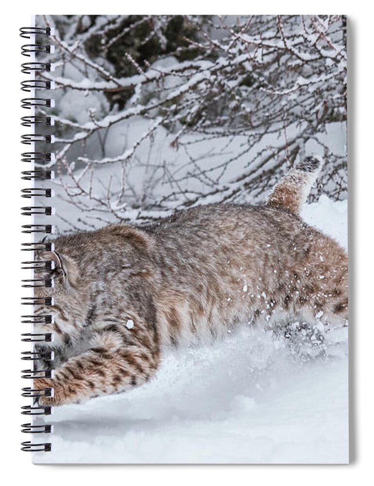 Animal Spiral Notebook featuring the photograph Catching Some Air by Teresa Wilson