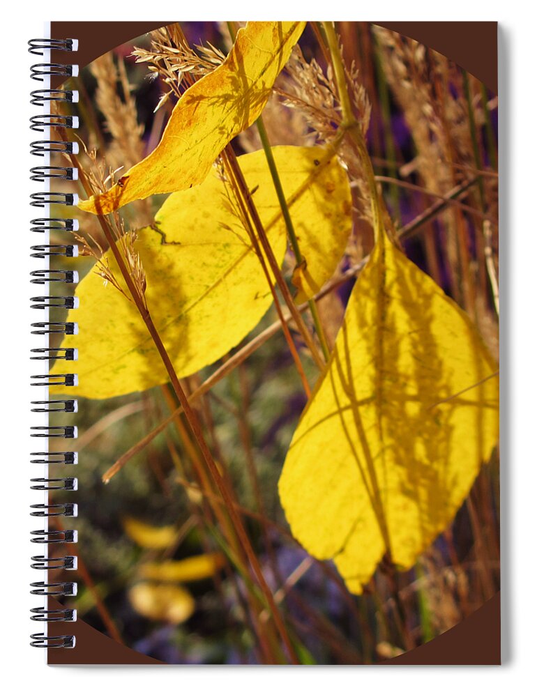 Golden Leaves Spiral Notebook featuring the photograph Catching Some Gold by Mary Wolf