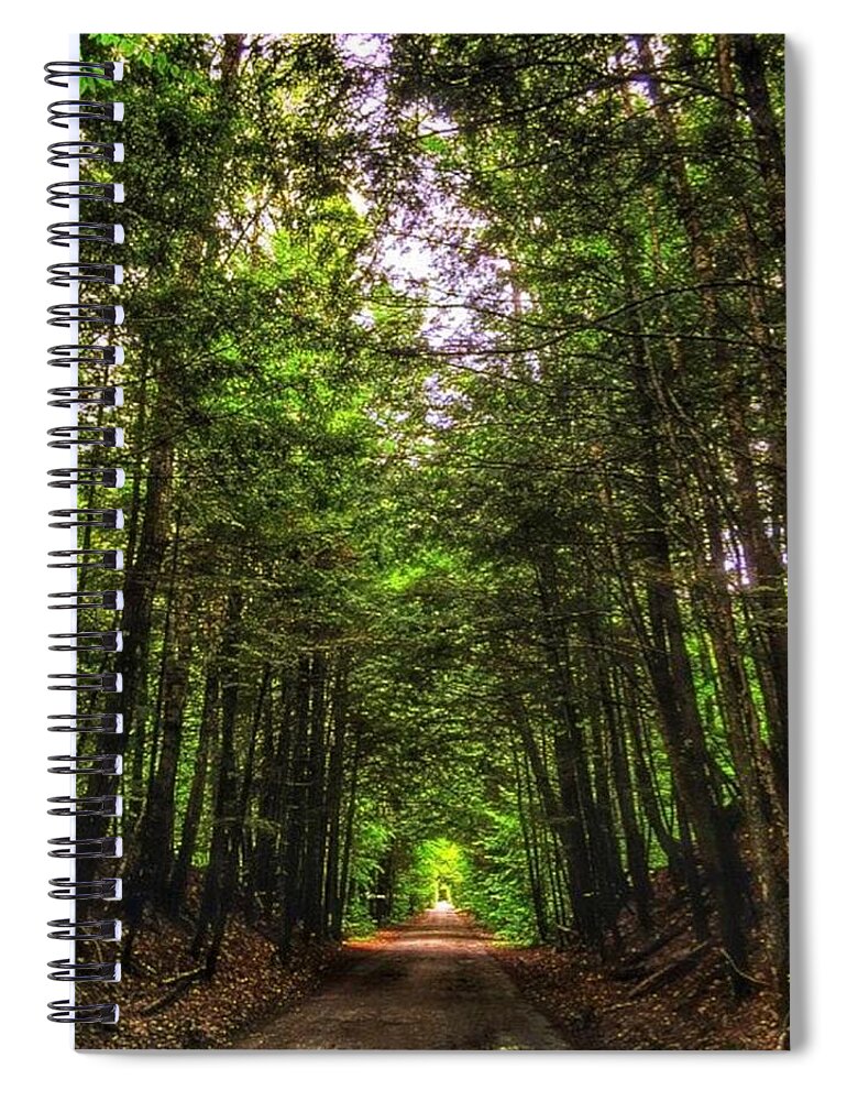 Loggingroads Spiral Notebook featuring the photograph Cathedral Forests by Nick Heap