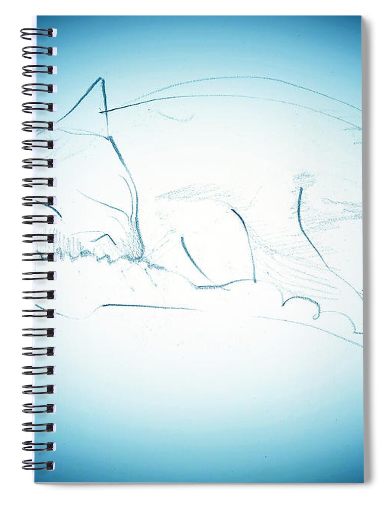 Cat Spiral Notebook featuring the mixed media Catnap by Denise F Fulmer