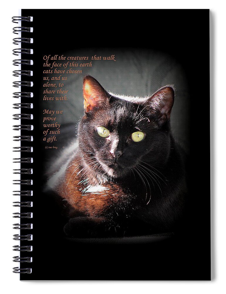 Quotes Spiral Notebook featuring the photograph Cats Chose Us by Sue Long