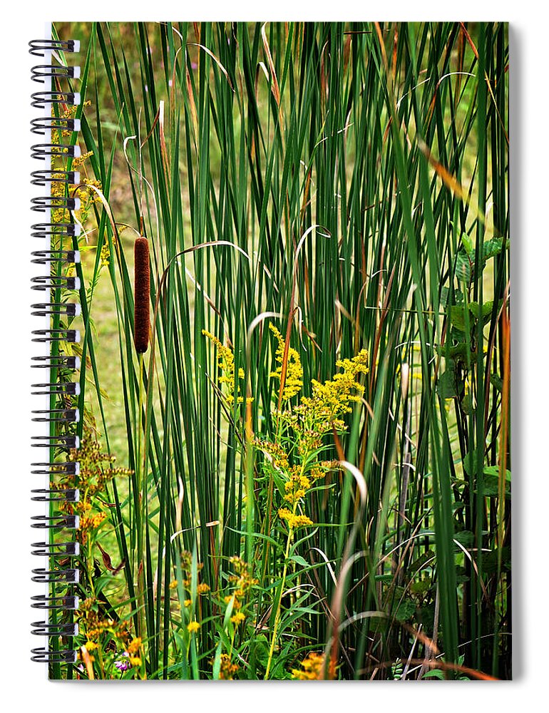 Cattails On The Pond Print Spiral Notebook featuring the photograph Cattails on the Pond Print by Gwen Gibson