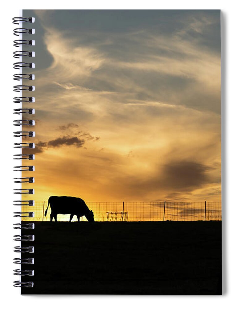 Cow Spiral Notebook featuring the photograph Cattle Sunset Silhouette by Jennifer White