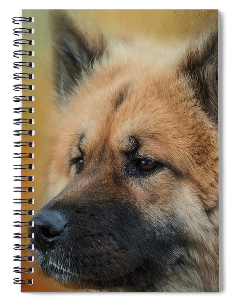 Caucasian Shepherd Dog Spiral Notebook featuring the photograph Caucasian Shepherd Dog by Eva Lechner