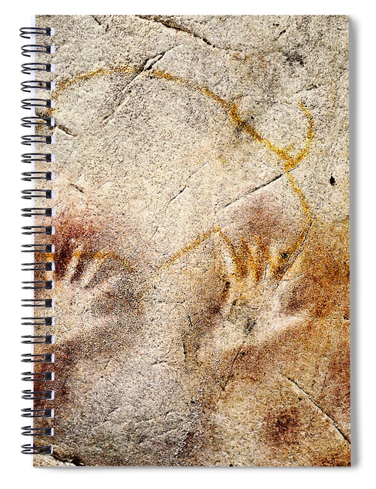 El Castillo Cave Spiral Notebook featuring the photograph Cave of El Castillo Hands and Bison by Weston Westmoreland