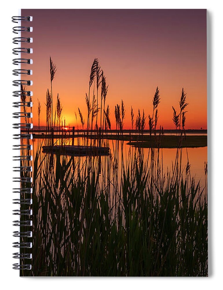 Docks Spiral Notebook featuring the photograph Cedar Beach Sunset in the Reeds by Alissa Beth Photography
