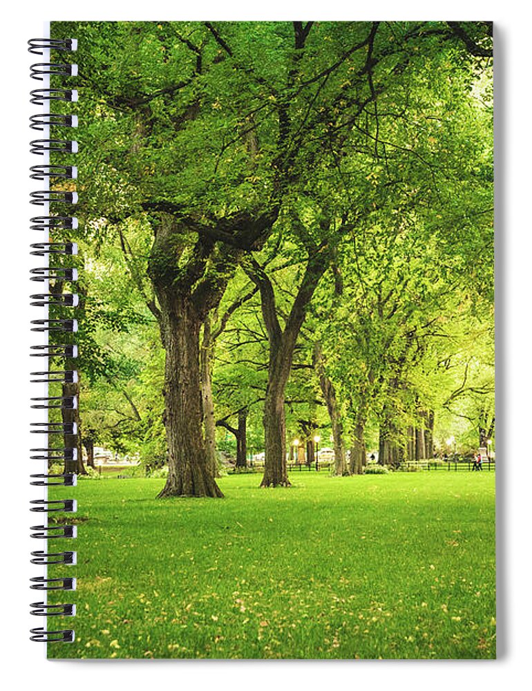 Central Park Spiral Notebook featuring the photograph Central Park Summer by Vivienne Gucwa