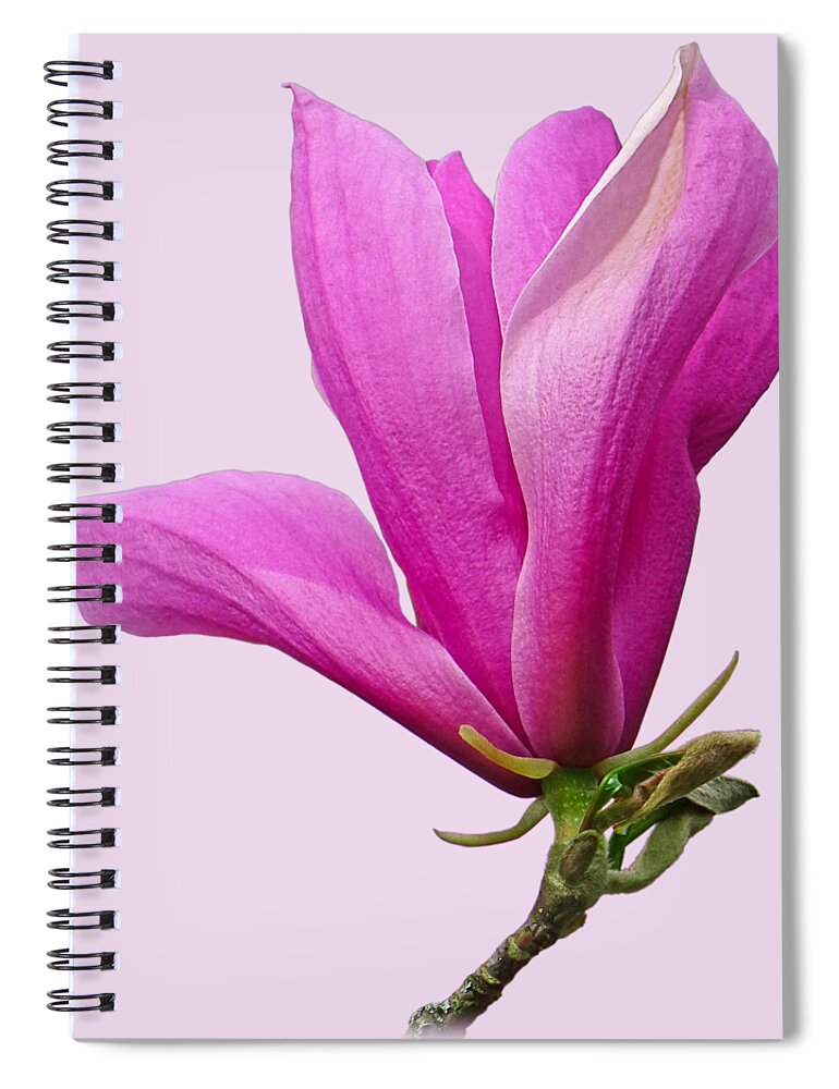Pink Flowers Spiral Notebook featuring the photograph Cerise Pink Magnolia Flower by Gill Billington