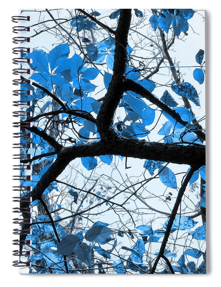 Blue Spiral Notebook featuring the photograph Cerulean Leaves by Shawna Rowe