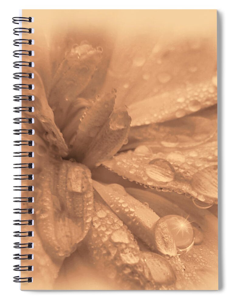 Champagne Spiral Notebook featuring the photograph Champagne Bride by Barbara St Jean