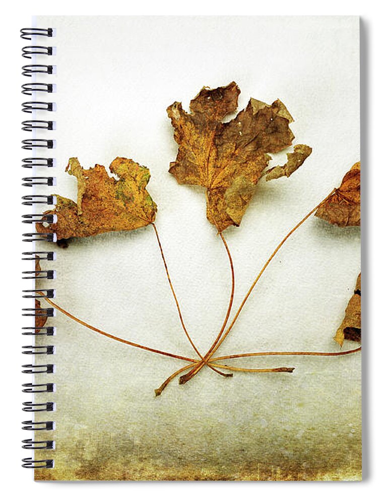 Textures Spiral Notebook featuring the photograph Changes by Randi Grace Nilsberg