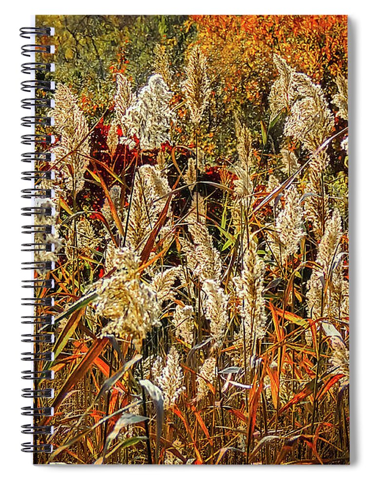 Nature Spiral Notebook featuring the photograph Changing Season by Robert Mitchell