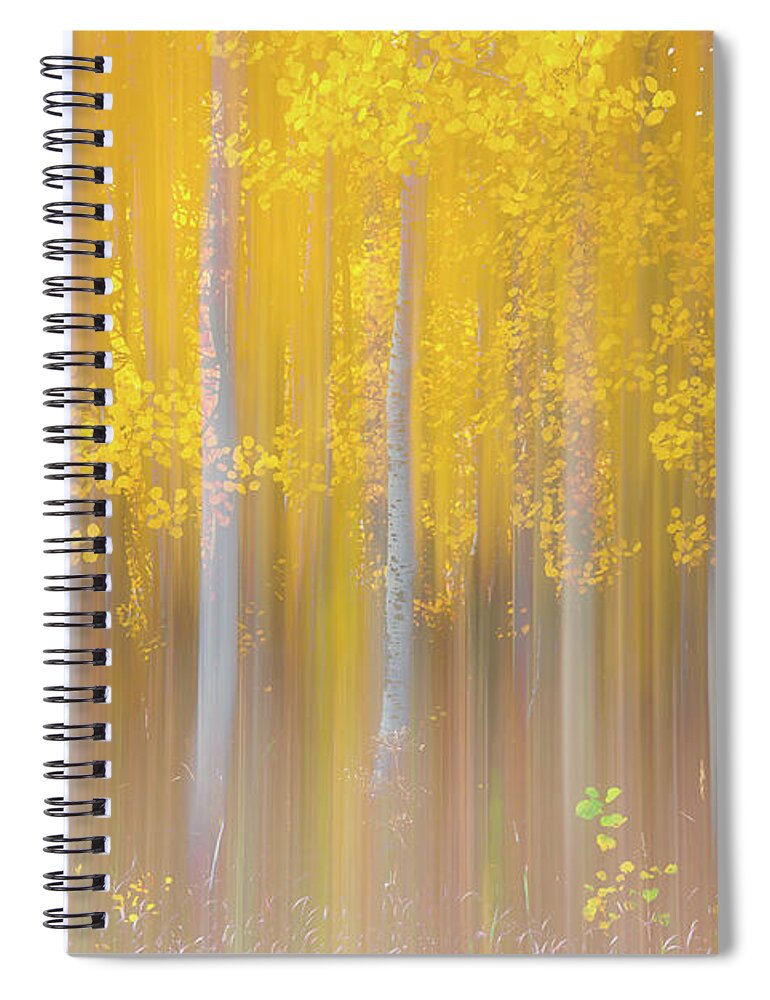 Aspen Spiral Notebook featuring the photograph Changing Seasons by Darren White