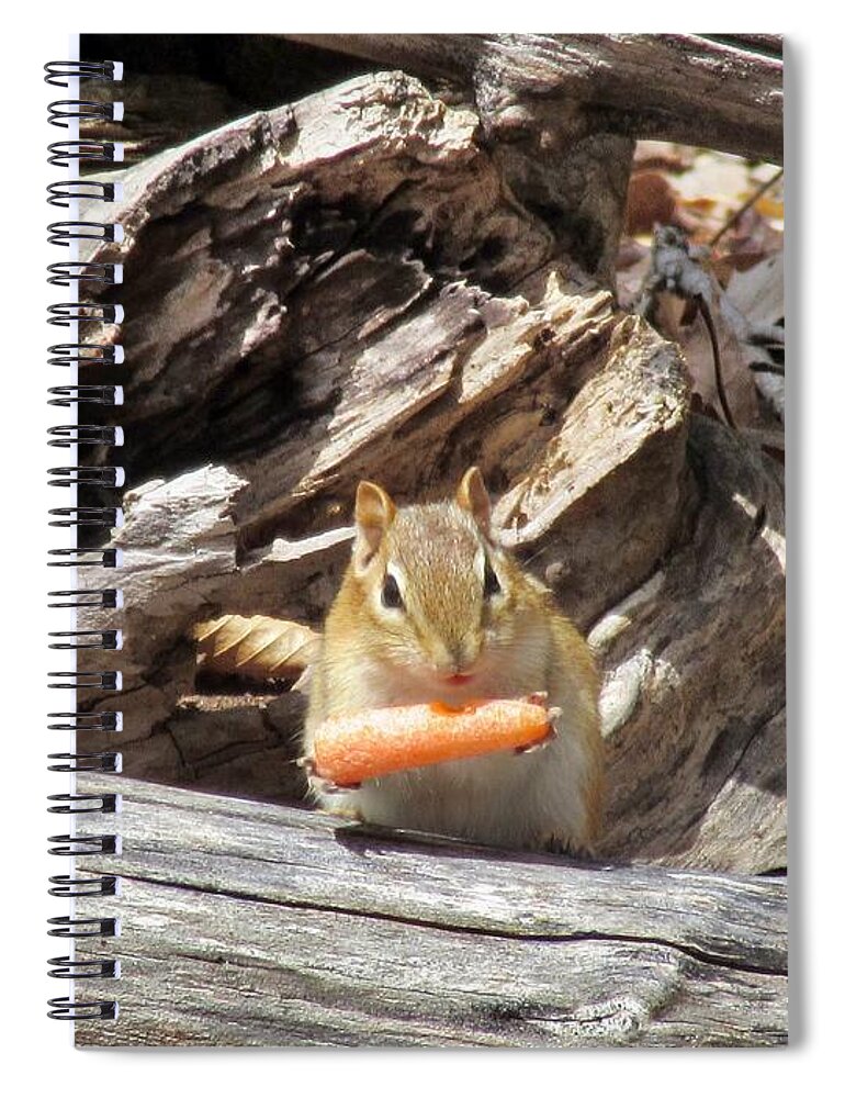 Nature Spiral Notebook featuring the photograph Charming Chipmunk by Elizabeth Duggan