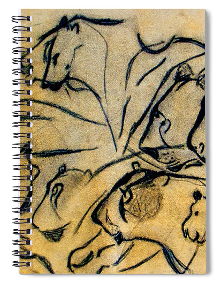Chauvet Cave Lions Spiral Notebook featuring the photograph chauvet cave lions Clear by Weston Westmoreland