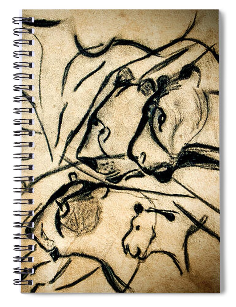 Chauvet Cave Lions Spiral Notebook featuring the photograph Chauvet Cave Lions by Weston Westmoreland