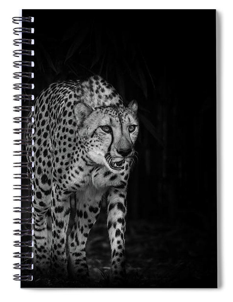 Cheetah Spiral Notebook featuring the photograph Cheetah by Jaime Mercado