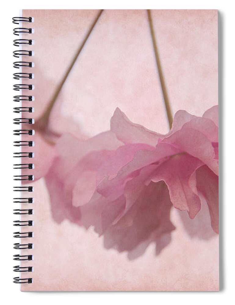Cherry Blossom Spiral Notebook featuring the photograph Cherry Blossom Froth by Ann Garrett