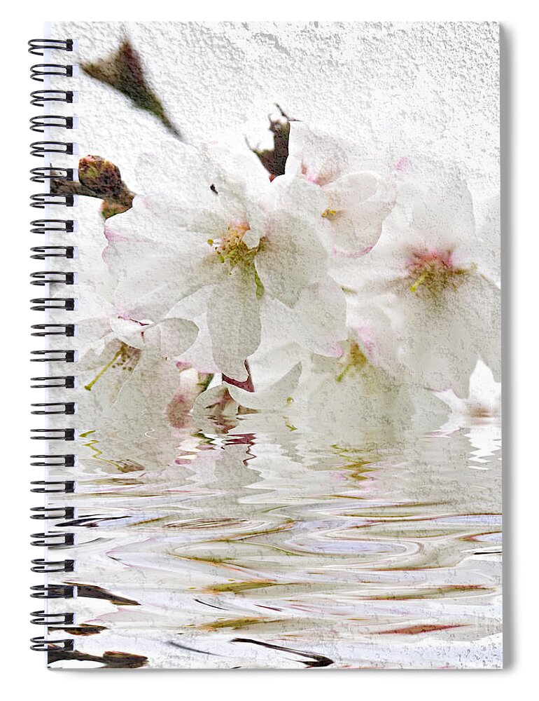Blossom Spiral Notebook featuring the photograph Cherry blossom in water by Elena Elisseeva