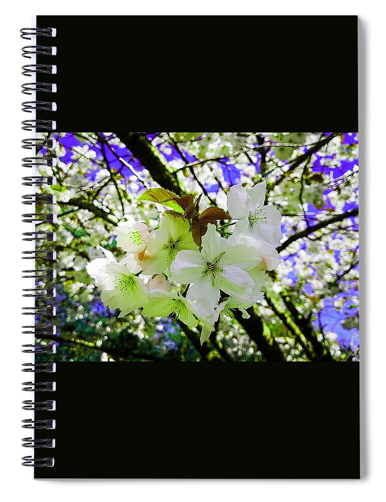 Fantasy Spiral Notebook featuring the photograph Cherry Blossom Splash In Summer Lime by Rowena Tutty