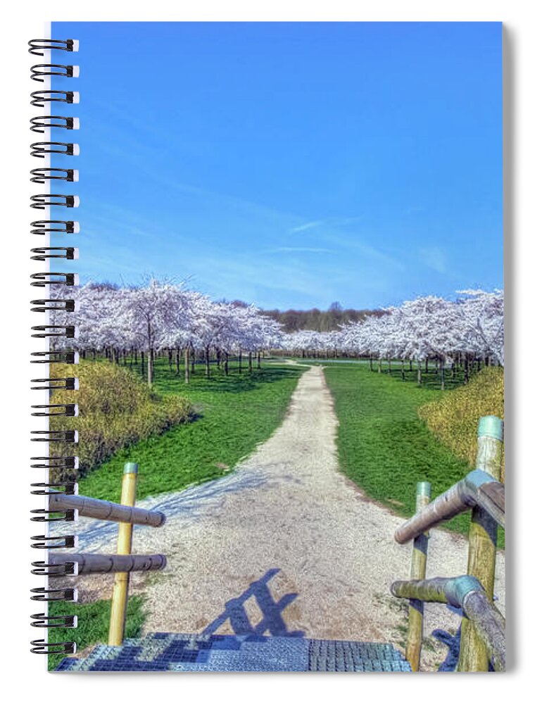 Flower Spiral Notebook featuring the photograph Cherry Blossoms Park by Nadia Sanowar