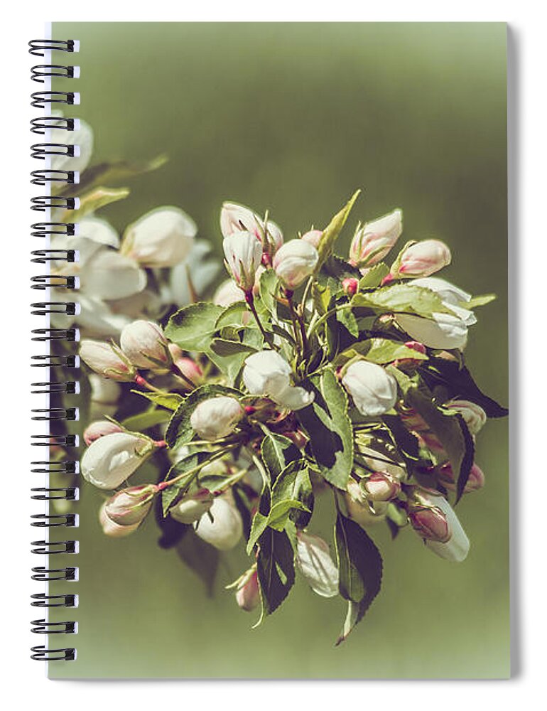 Flowers Spiral Notebook featuring the photograph Cherry Blossoms by Yeates Photography