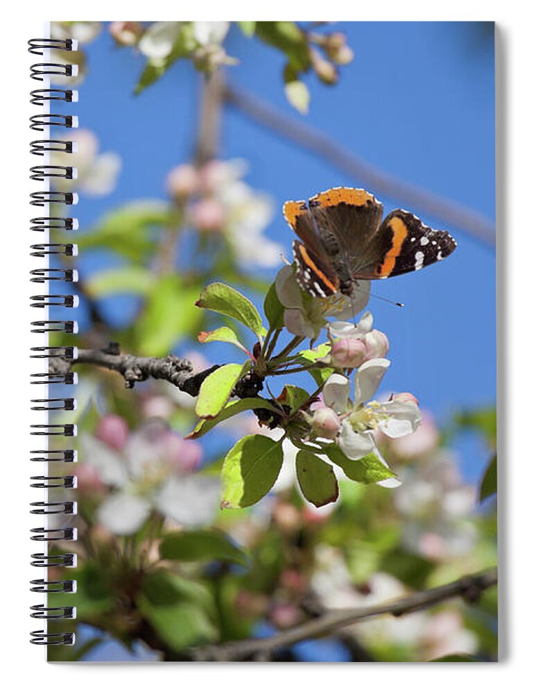 Butterfly Spiral Notebook featuring the photograph Monarch Butterfly on Cherry Tree by Tatiana Travelways