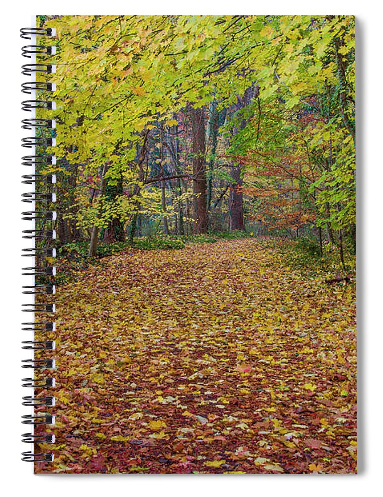 Wissahickon Spiral Notebook featuring the photograph Chestnut Hill - Autumn Carpet by Bill Cannon