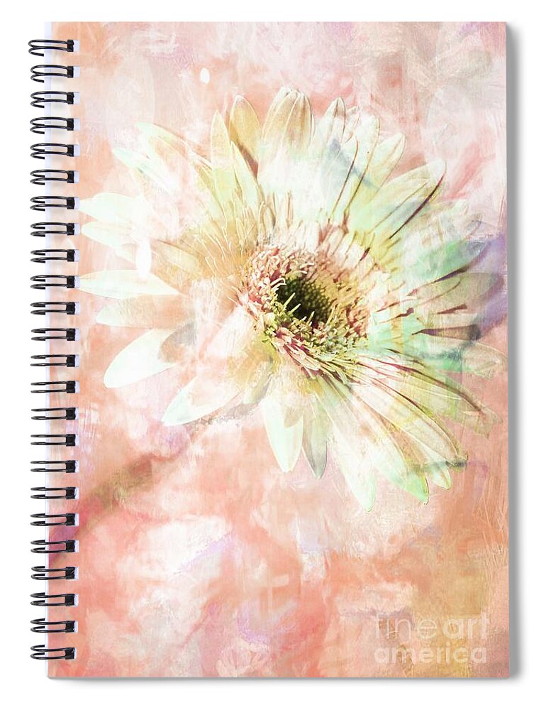 Gerbera Spiral Notebook featuring the photograph Chic by Clare Bevan