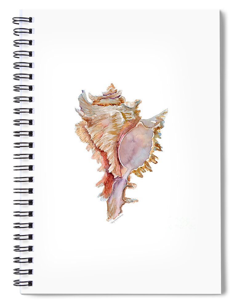 Shell Spiral Notebook featuring the painting Chicoreus Ramosus Shell by Amy Kirkpatrick