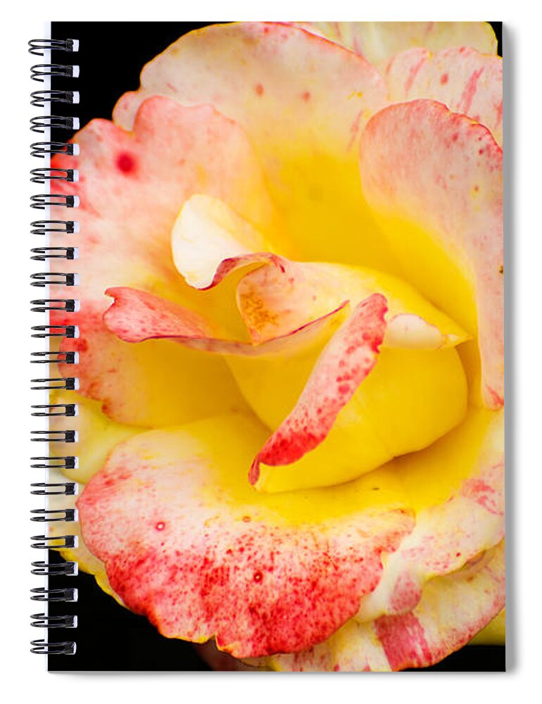 Flowers Spiral Notebook featuring the photograph Chihuly by Metaphor Photo