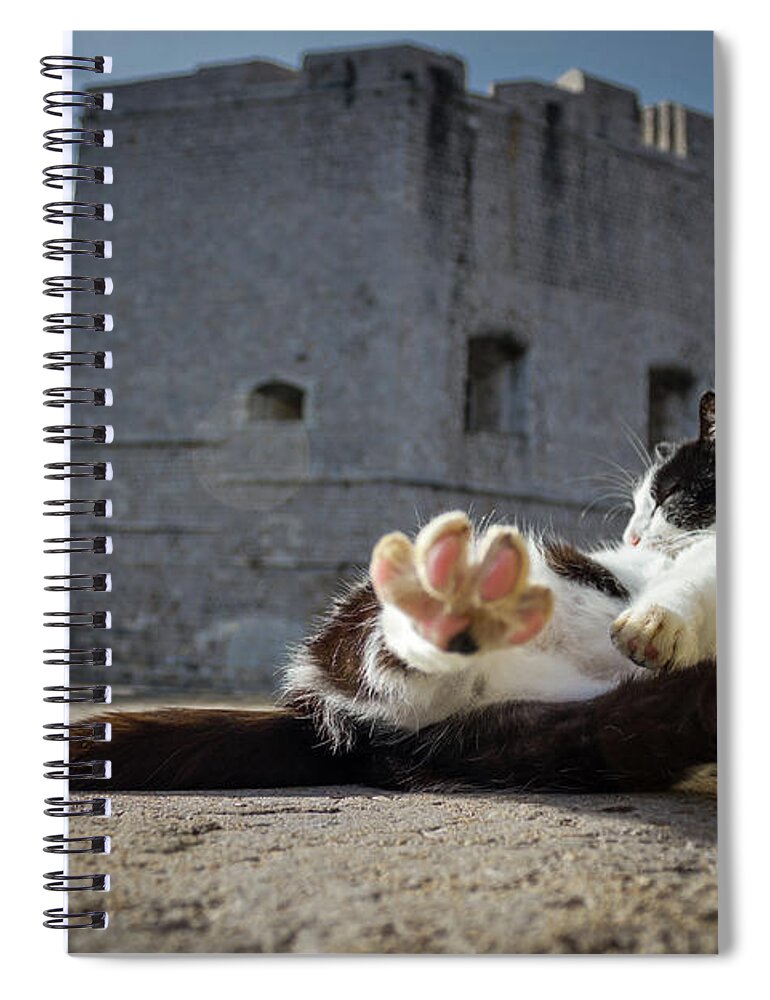 Cat Spiral Notebook featuring the photograph Chill Kitty of Dubrovnik by Becqi Sherman