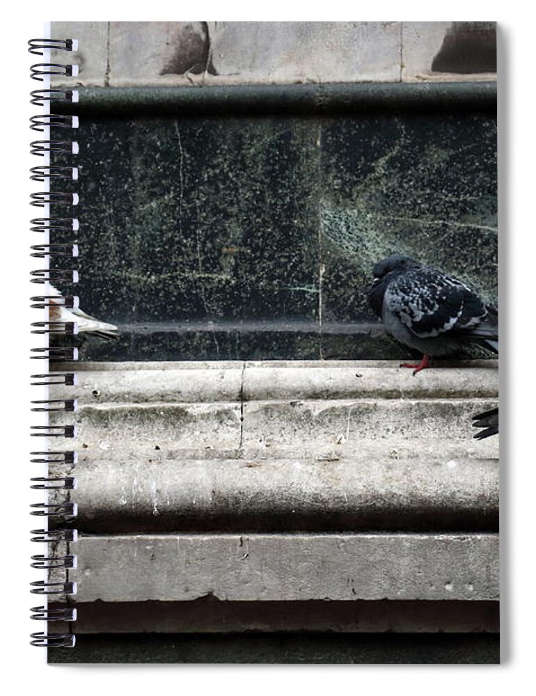 Pidgeon Spiral Notebook featuring the photograph Chilly Day Duomo by Laura Davis
