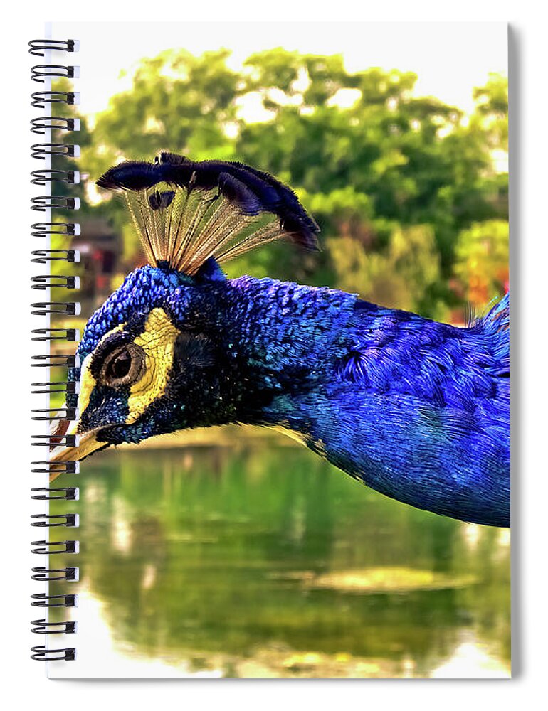China Spiral Notebook featuring the photograph China Guilin landscape scenery photography-10 by Artto Pan