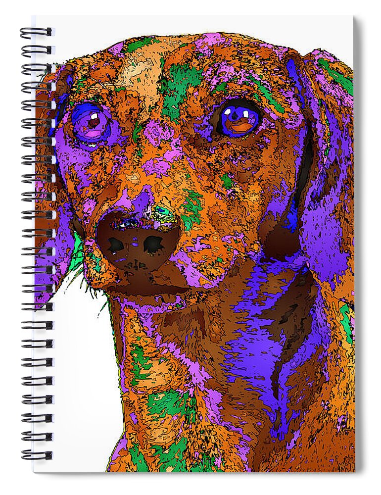 Dachshund Spiral Notebook featuring the digital art Chloe. Pet Series by Rafael Salazar