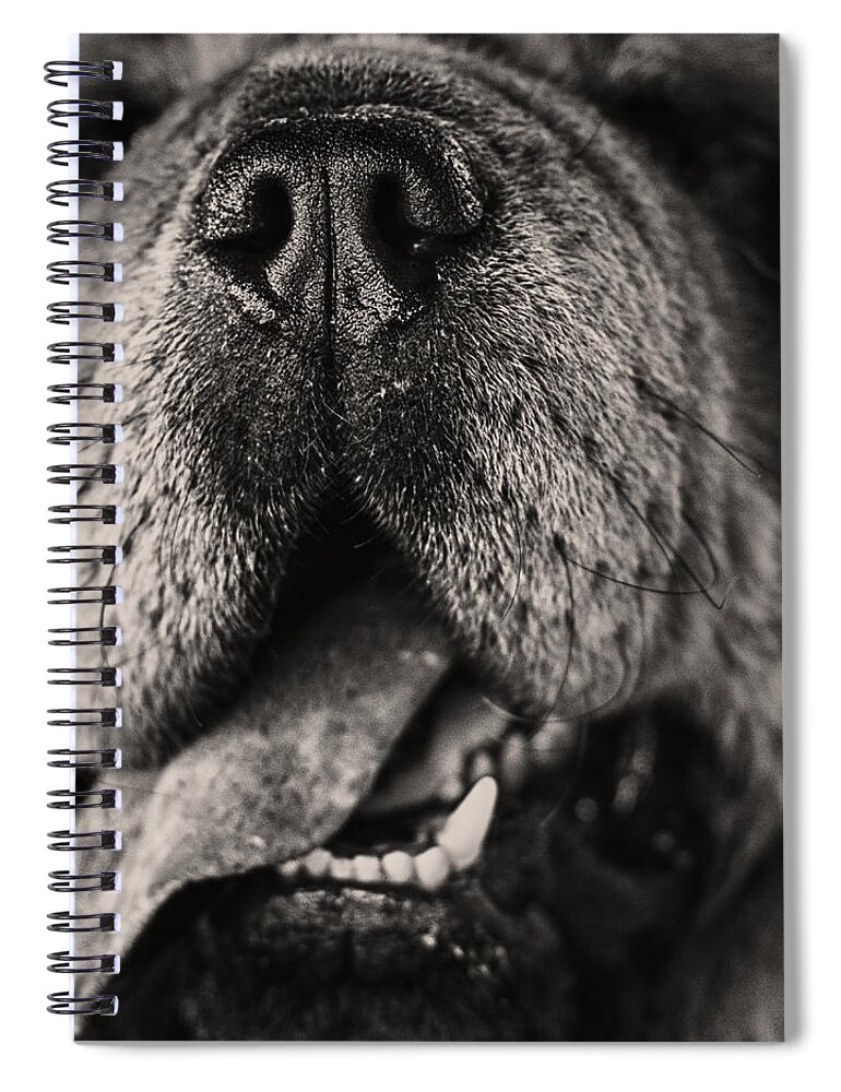 Animal Spiral Notebook featuring the photograph Chow Chow by Stelios Kleanthous