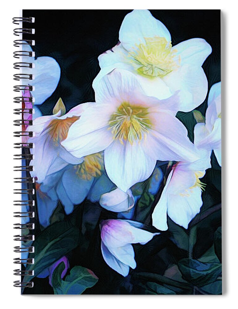 Photo Spiral Notebook featuring the photograph Christmas Rose by Jutta Maria Pusl