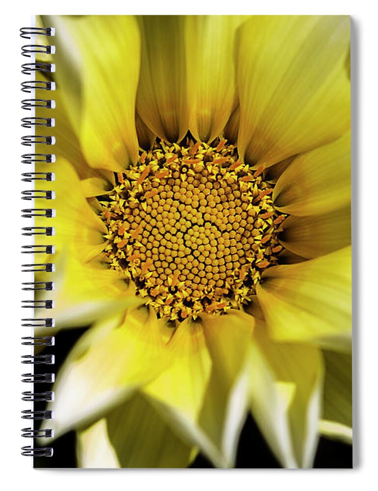 Flower Spiral Notebook featuring the photograph Chrysanthos by Linda Lees
