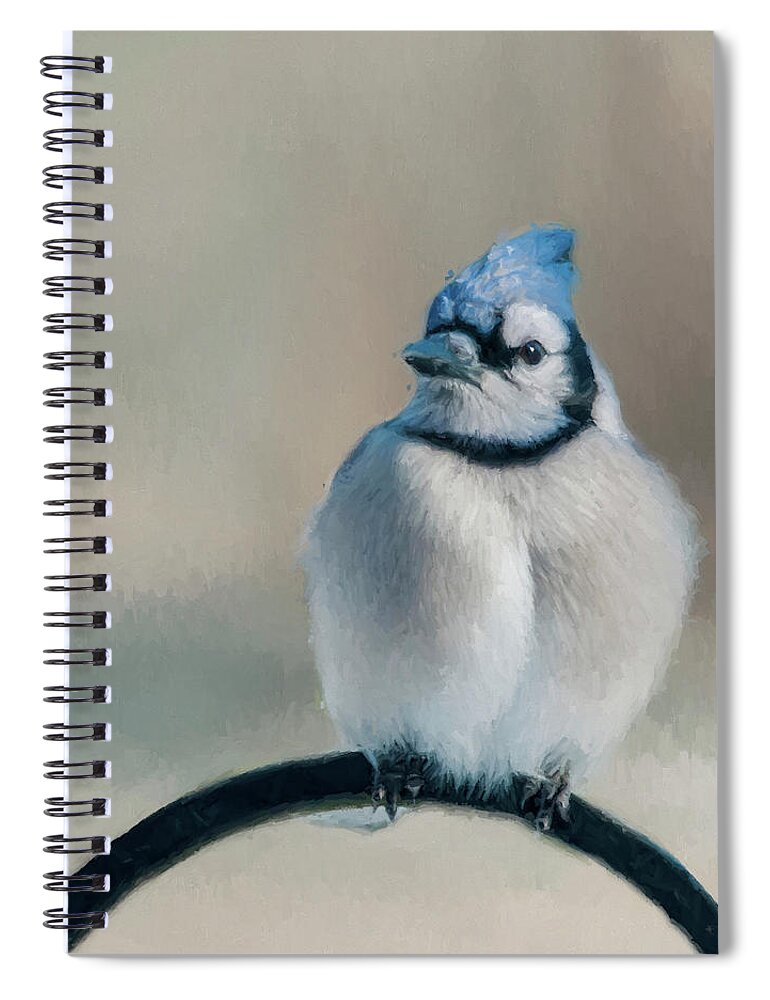 Blue Jay Spiral Notebook featuring the photograph Chubby Jay by Cathy Kovarik