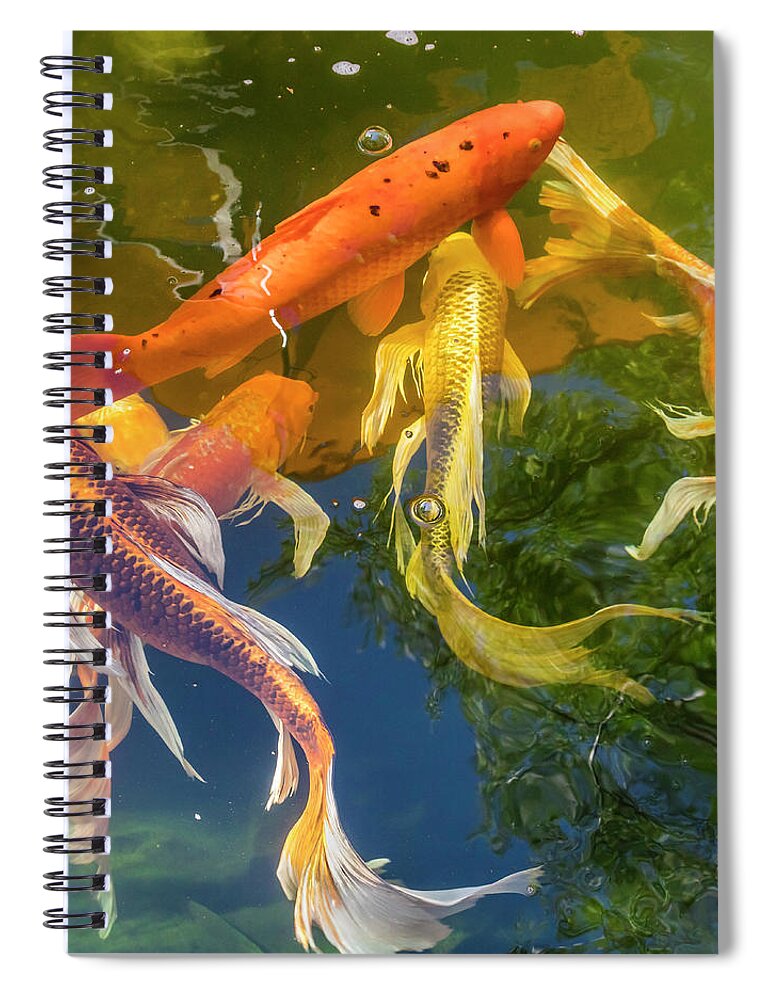 Markmilleart.com Spiral Notebook featuring the photograph Circle of Koi by Mark Mille